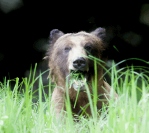 Sunday June 29th Amanda Tarling "Stretch Your Spirit"